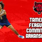 Arkansas State Lands Division II Transfer Guard Tameron Ferguson